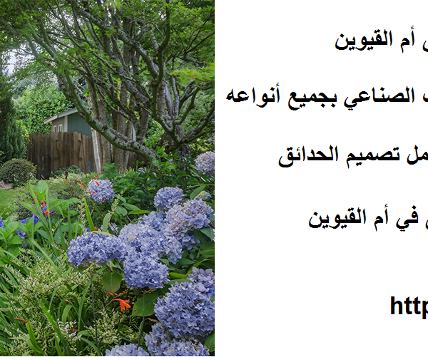 أفضل شركة تنسيق حدائق أم القيوين