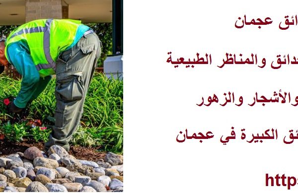 شركات تنسيق حدائق عجمان
