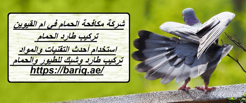 شركة مكافحة الحمام في ام القيوين