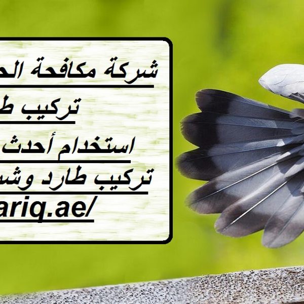 شركة مكافحة الحمام في ام القيوين